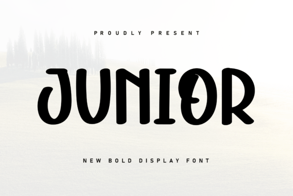 Adding a Cozy Accent: The Charm of the Junior Font