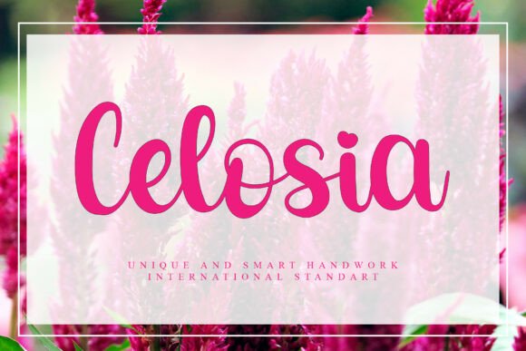 Celosia: A Hand-Crafted Font for Your Most Important Designs
